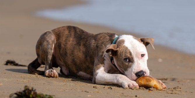 Cameron at the beach