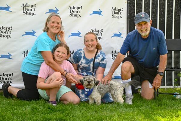 A grey dog and her new family