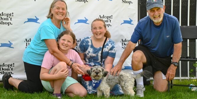 A grey dog and her new family