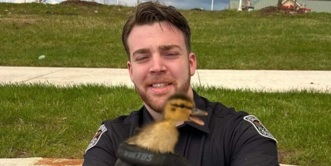 A police officer holding a duckling