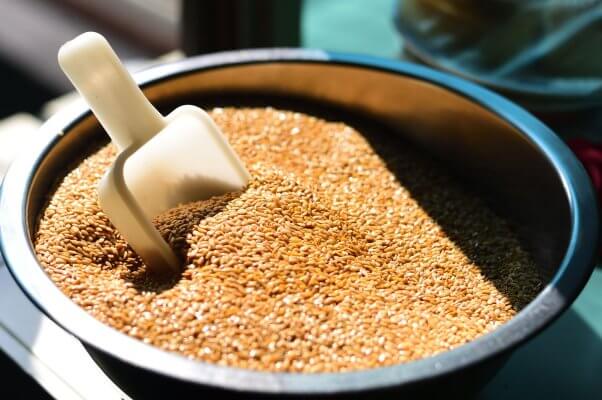 a bowl of flaxseed with a white scoop