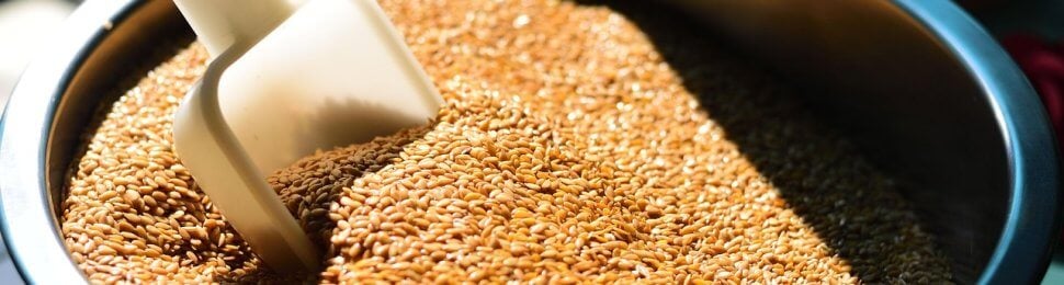 a bowl of flaxseed with a white scoop