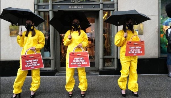 Hermes demo in hazmat suits and high heels