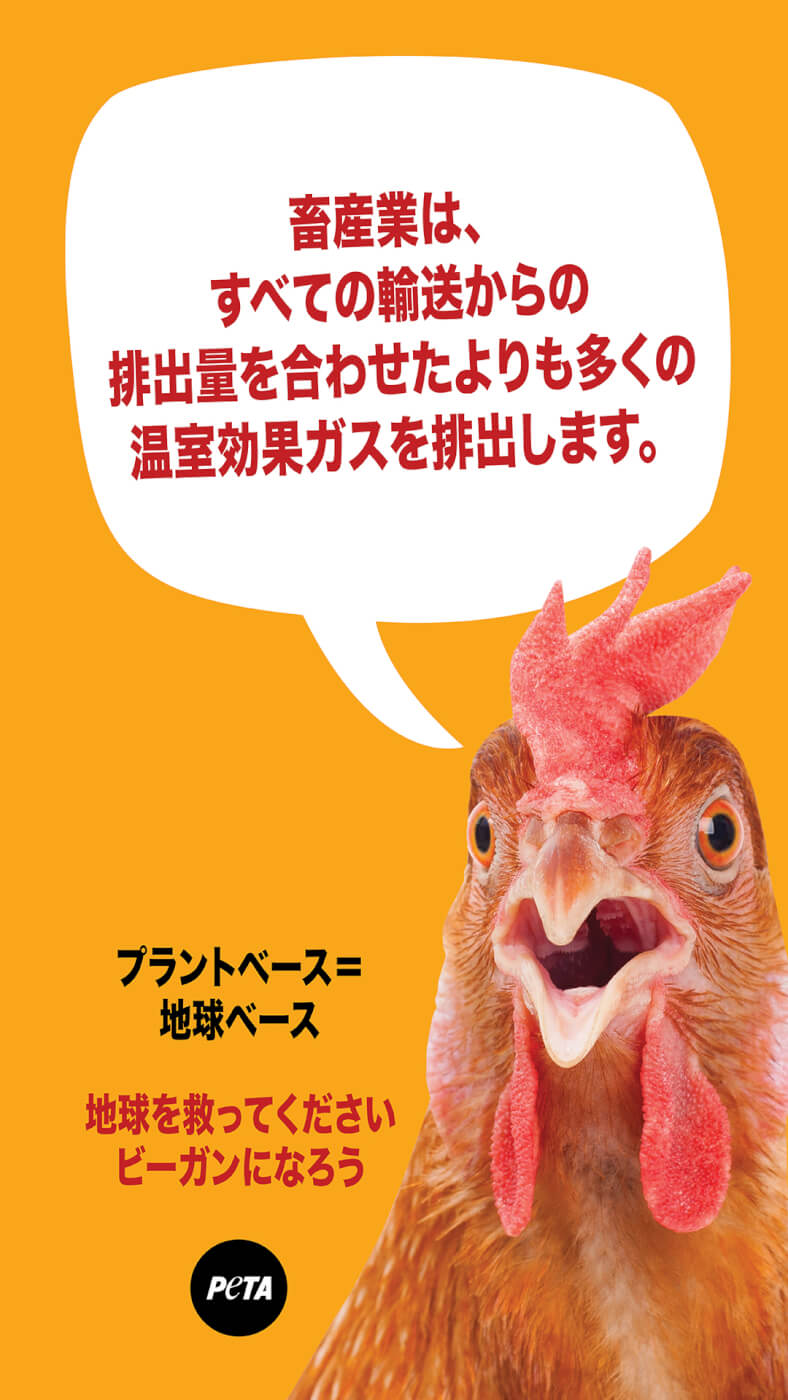 Japanese language version of our plant-based chicken PSA
