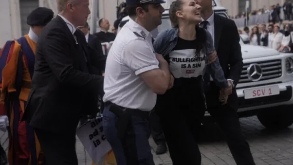 Bullfighting protesters at the Vatican being arrested