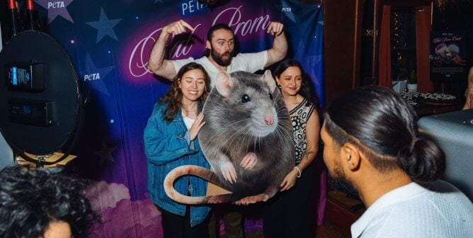 Photo from Under the Trash prom, cropped for featured image