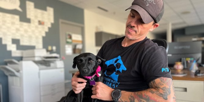 A fieldworker holding a small puppy