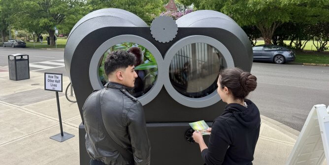 People observing the binocular model