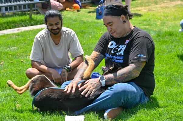 Two people petting a dog