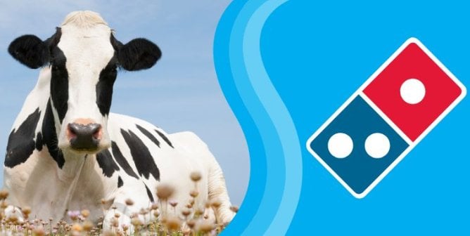 A black and white cow next to the Domino's logo