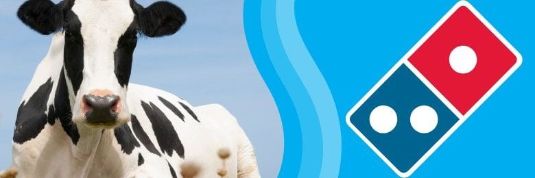 A black and white cow next to the Domino's logo