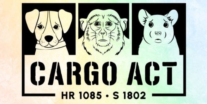 CARGO Act Logo