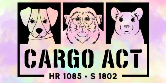 Cargo Act Logo