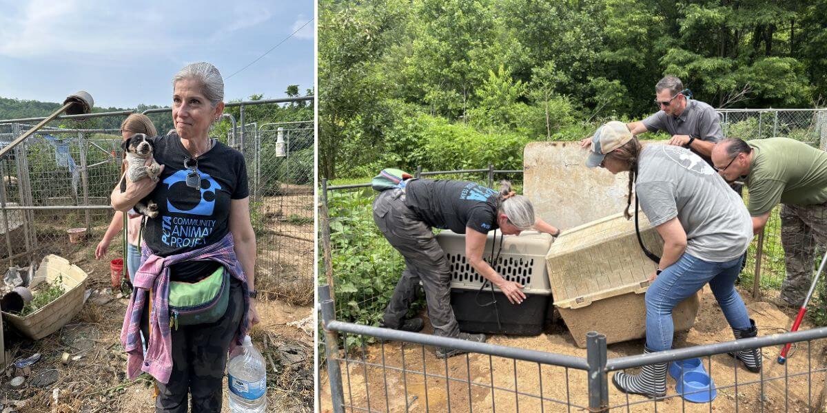 Staff members replace dog houses. One holds a puppy
