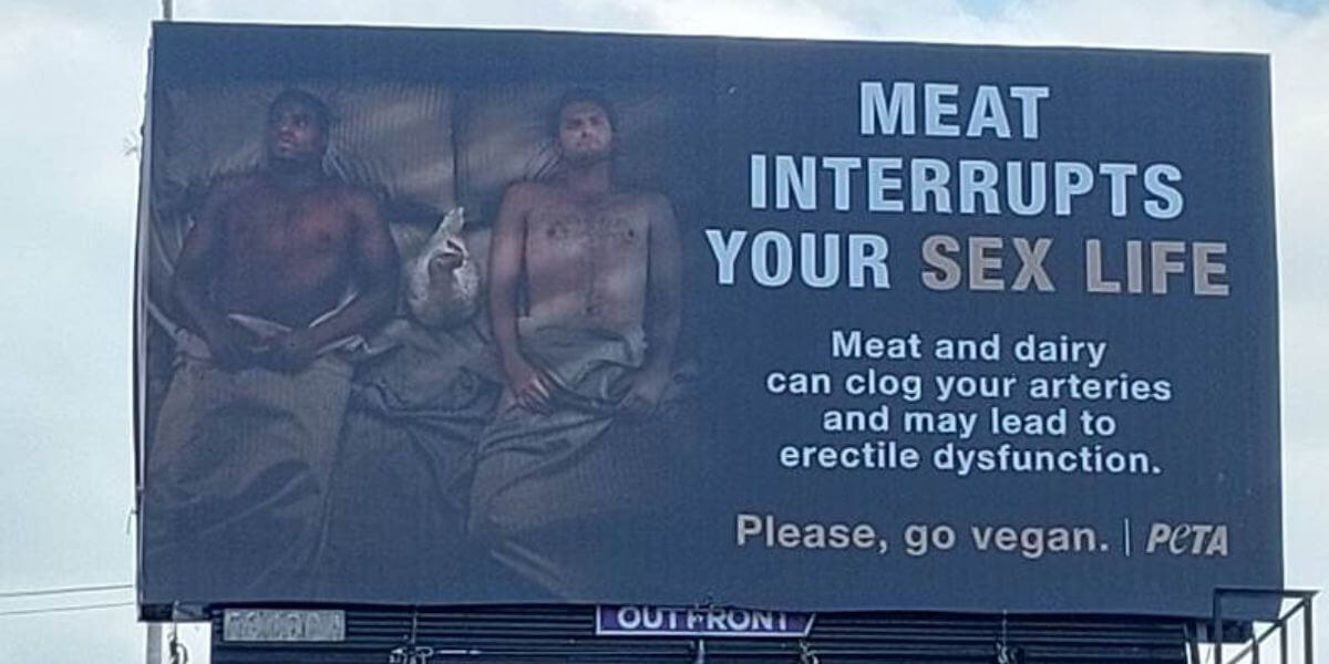 Photo of a billboard showing two men in bed with a chicken between them. Text reads "Meat Interrupts Your Sex Life"