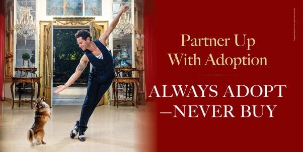 Sasha Farber adoption ad
