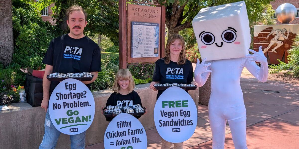 Tommy tofu and demonstrators handing out vegan sandwiches