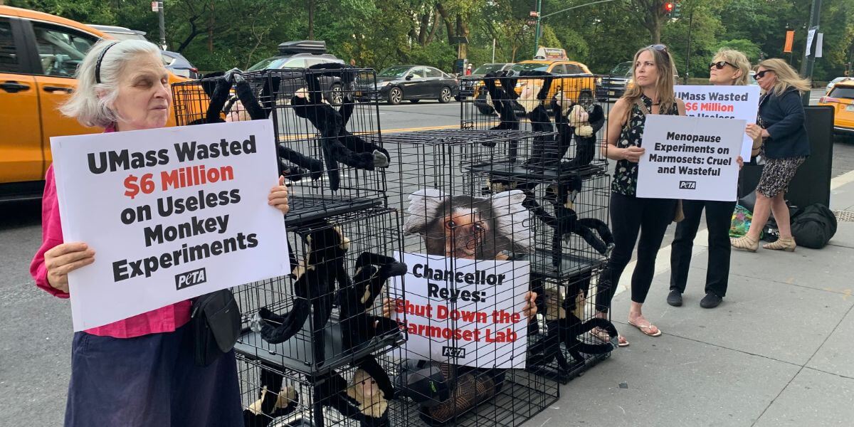 Demonstrators holding signs. One is wearing a marmoset mask and is sitting in a cage