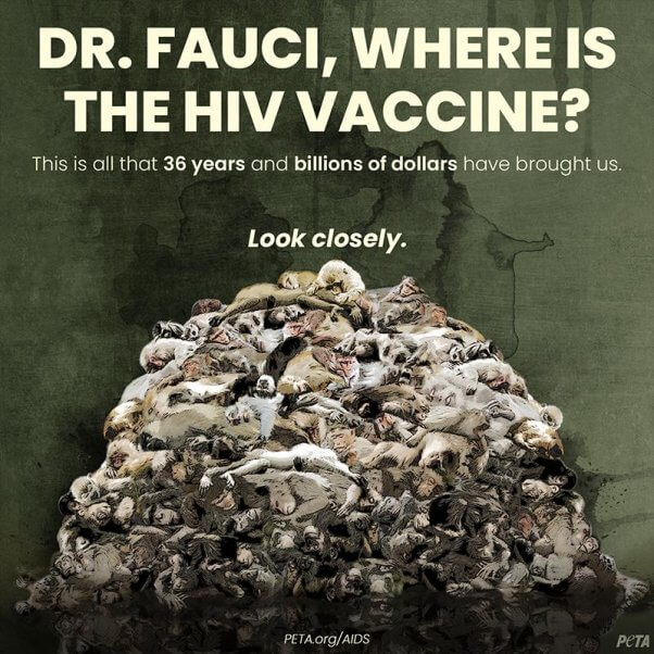 Infographic showing a pile of dead monkeys