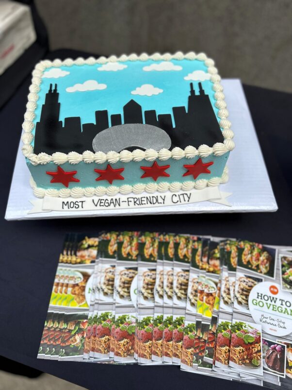 Vegan cake with leaflets