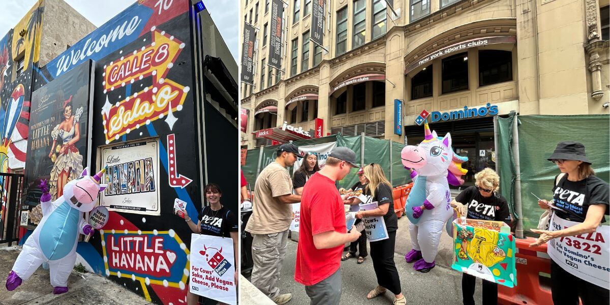 Demonstrators giving out vegan pizza