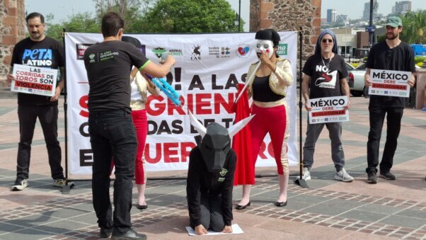 People protesting bullfighting
