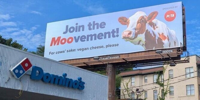 A billboard next to a Domino's location. The billboard has a photo of a cow and text reading 'Join the Moomvement! For cows' sake: vegan cheese, please!'