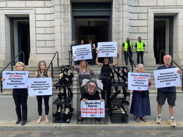 A group of demonstrator holding signs