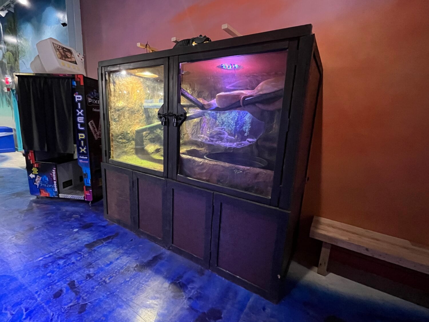 Animals Suffer at One World Interactive Aquarium | PETA