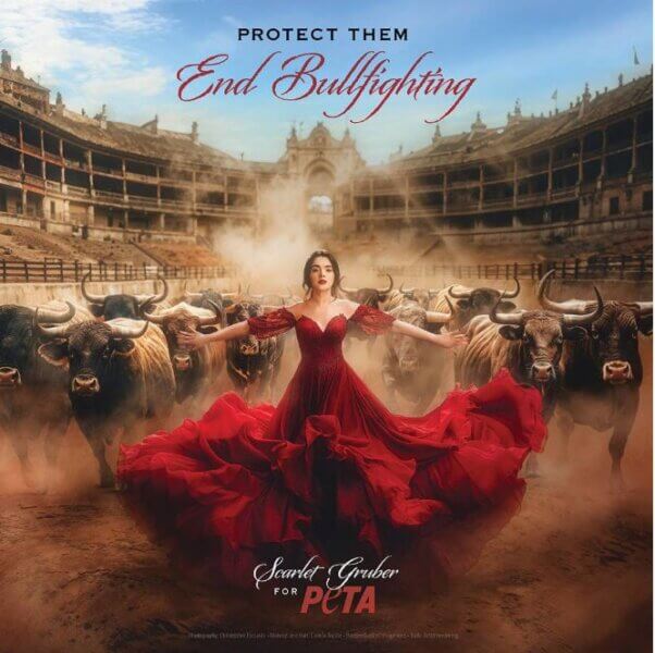 Scarlet Gruber PETA Latino ad reading "Protect Them. End Bullfighting."