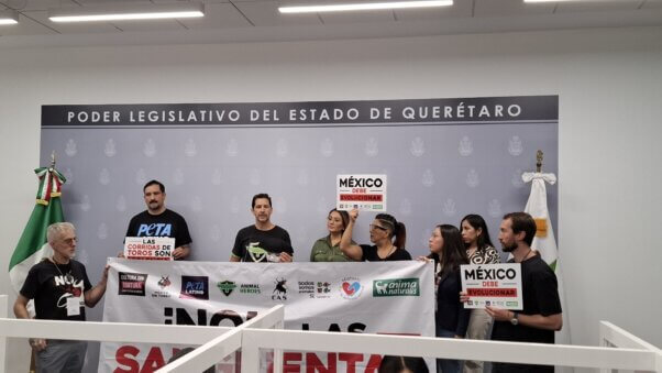 A conference