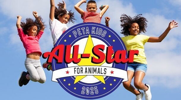 All Star for Animals contest logo