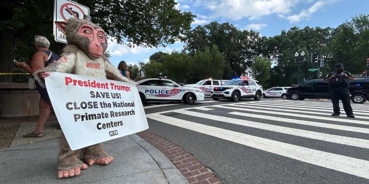 Beamish holding a sign reading President Trump: SAVE US! Close the National Primate Research Centers