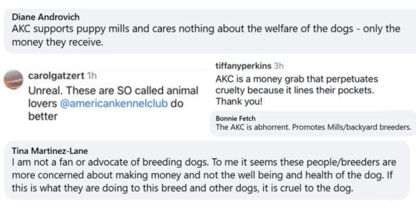Comments against AKC