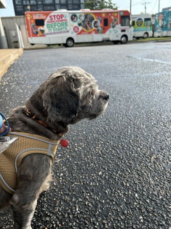 George in front of PETA's mobile clinic