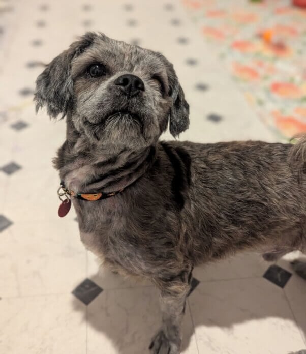 George looking at the camera