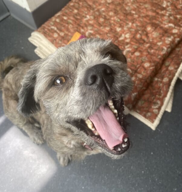 George yawning