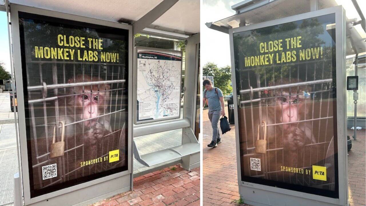 Bus stop posters
