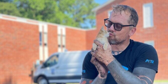 A fieldworker holding a small orange kitten