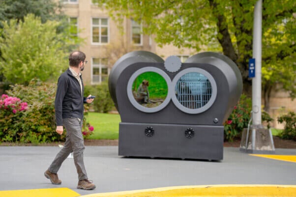 A person looking at the binoculars model as they walk past