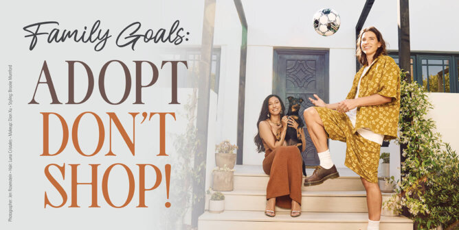 Adopt don't shop