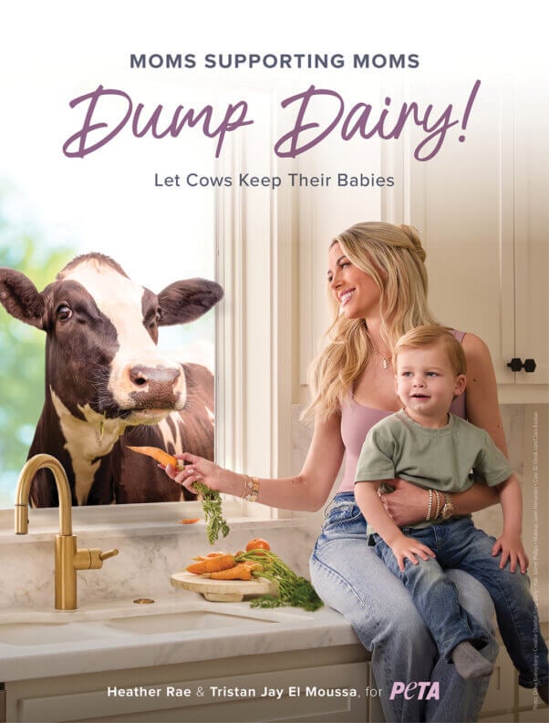 Heather and her son feeding a cow  carrot