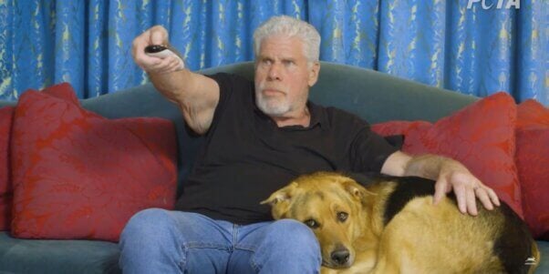Ron Perlaman and his dog