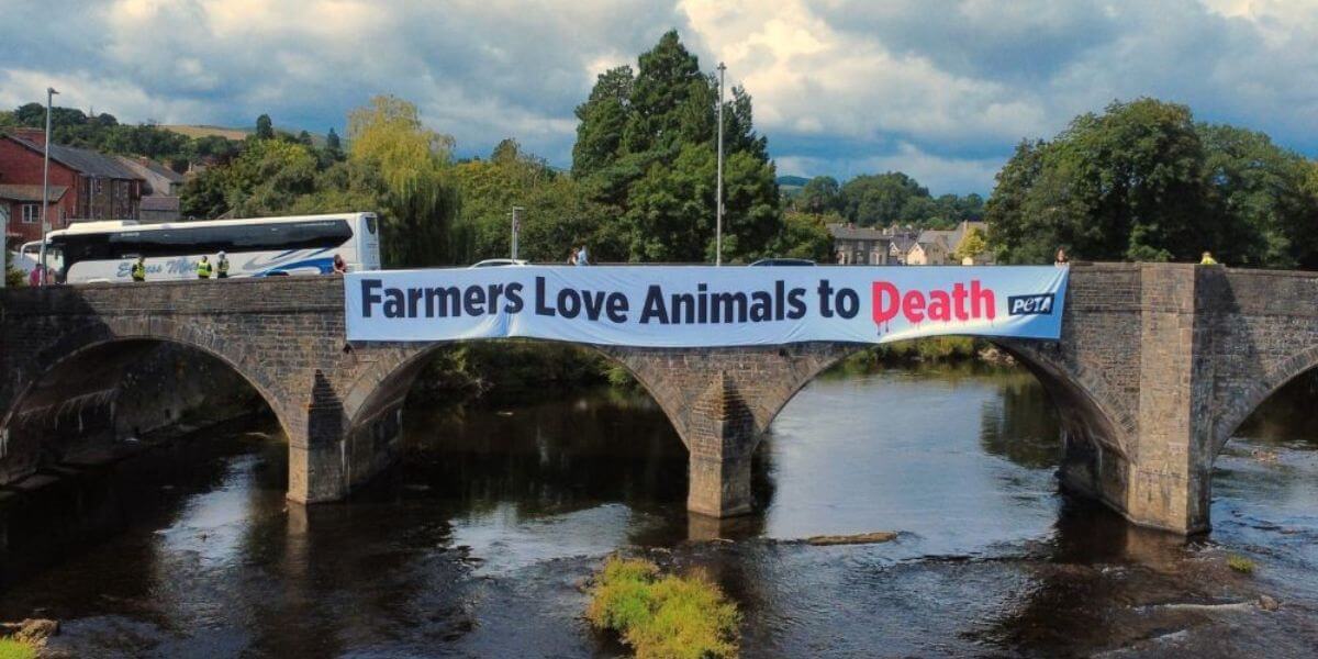 Banner reading Farmers Love Animals to Death