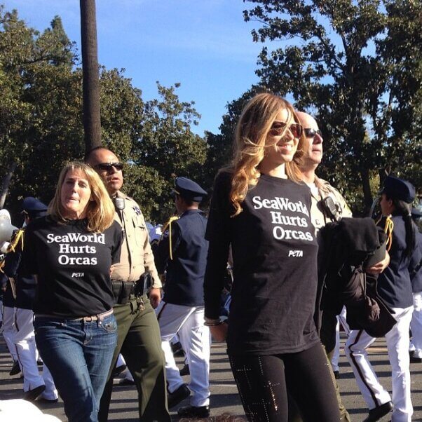 SeaWorld protest