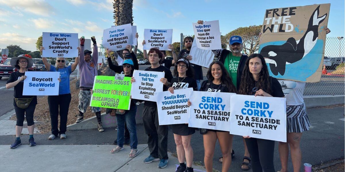SeaWorld Demo