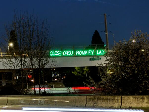 Light board on an overpass reading "Close OHSU Monkey Lab"