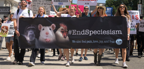 End Speciesism banner
