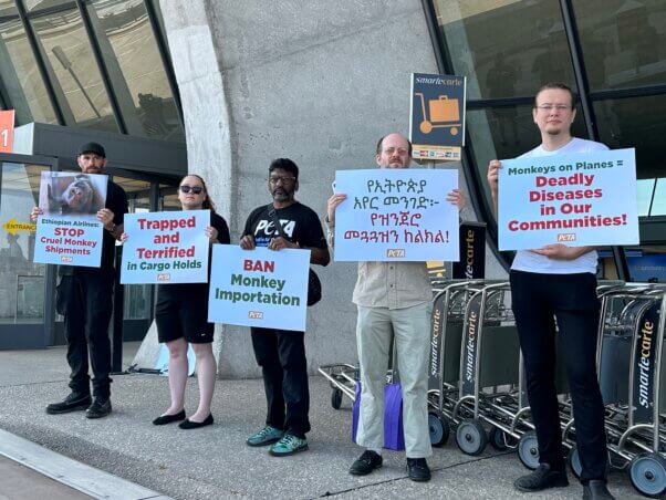 Demonstrators with signs