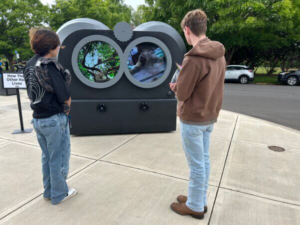Two people looking at a giant binoculars display